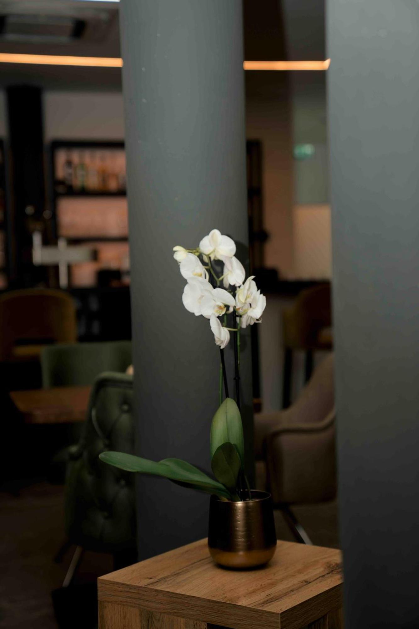 Central Hotel & Lounge Adult Only Goslar Zewnętrze zdjęcie